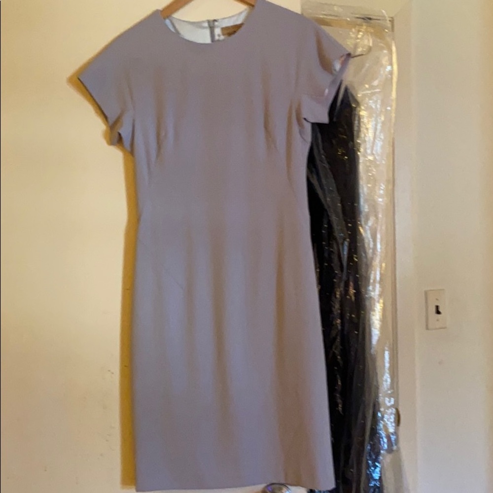 Ash Grey Ted Baker Dress